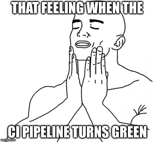 That feeling when the CI turns green